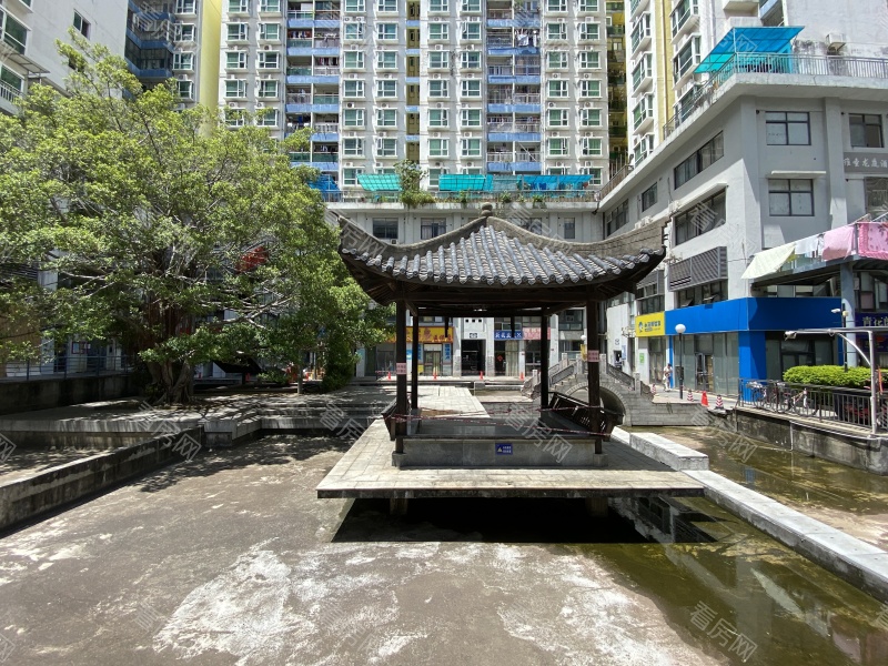 深圳天欣花园三期小区信息图片6