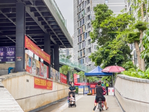 深圳金地梅陇镇小区信息图片