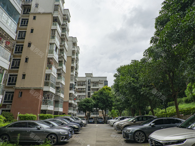 深圳梧桐山新居二期小区信息图片6