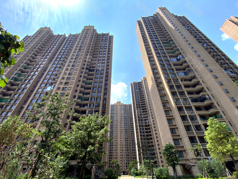 惠州合生上观国际小区信息图片14