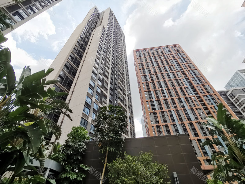 深圳大冲新城花园C区小区信息图片5