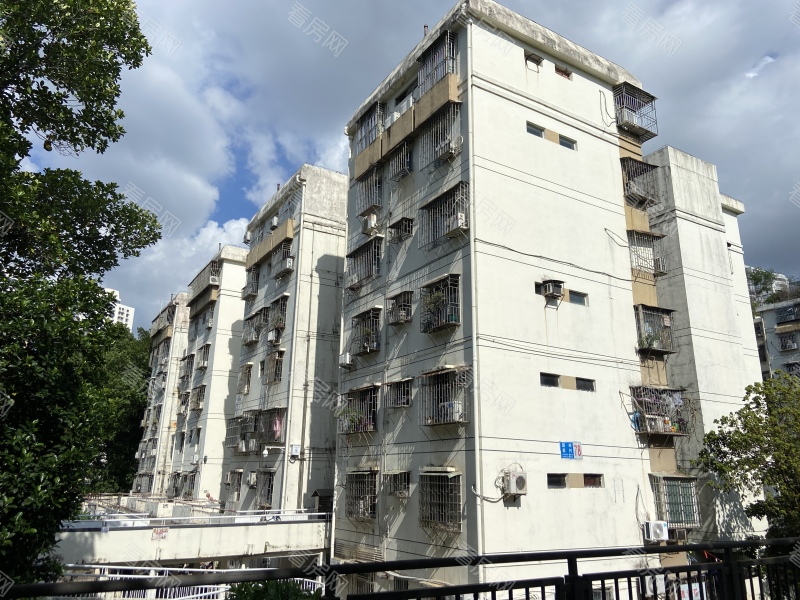 深圳园岭新村小区信息图片11