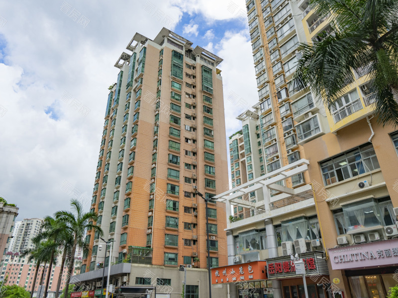 深圳缔馨园小区信息图片3