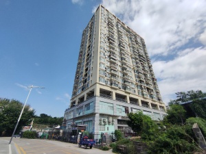 深圳鸿景豪苑小区信息图片