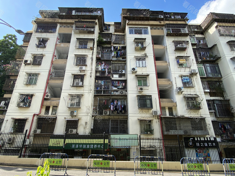 深圳园岭新村小区信息图片13