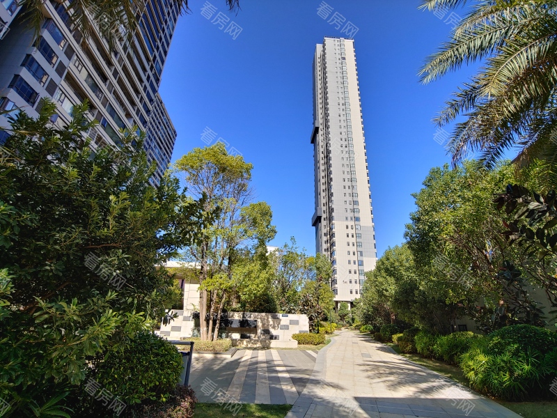 赣州云星公园大观小区信息图片8