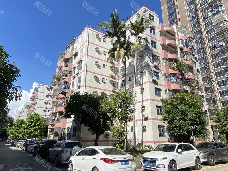 深圳立新湖花园小区信息图片11