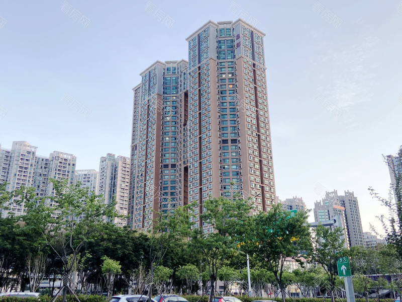 深圳皇都广场小区信息图片2