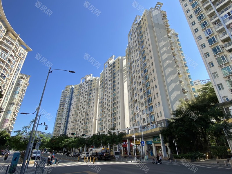 深圳蔚蓝海岸二期小区信息图片12