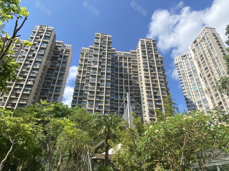 深圳依云伴山小区信息图片4