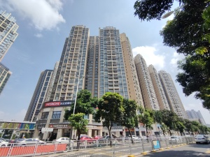 深圳远洋新干线一期小区信息图片