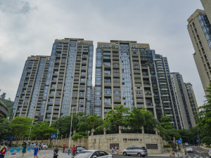 深圳万泽云顶尚品二期小区信息图片