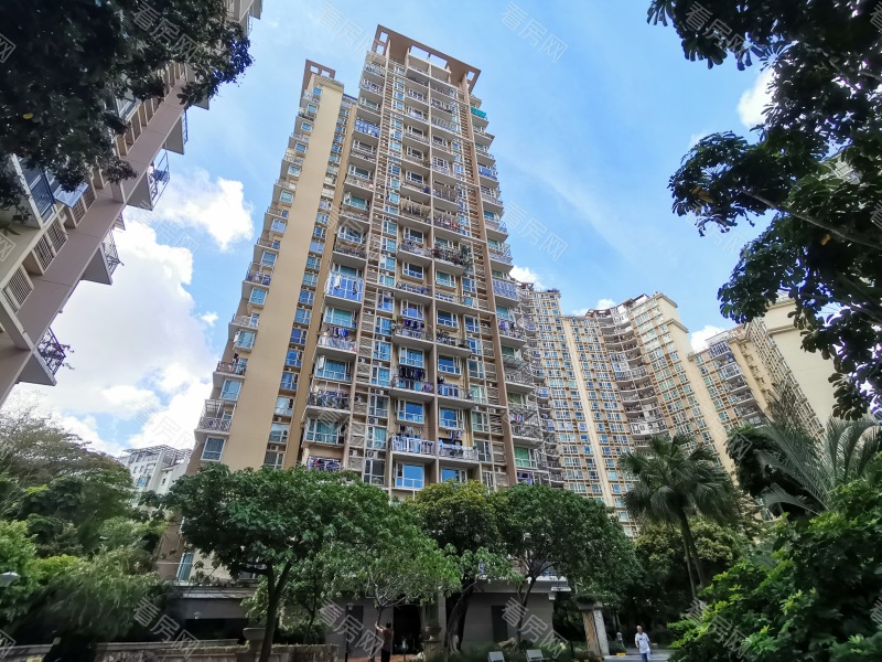 深圳星海名城三期小区信息图片5