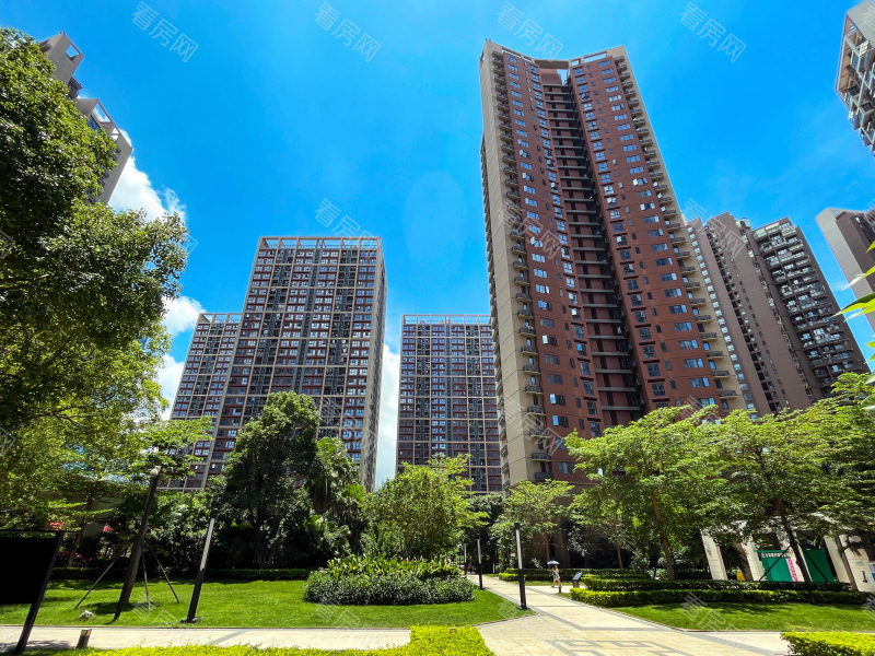 深圳万科红三期小区信息图片7