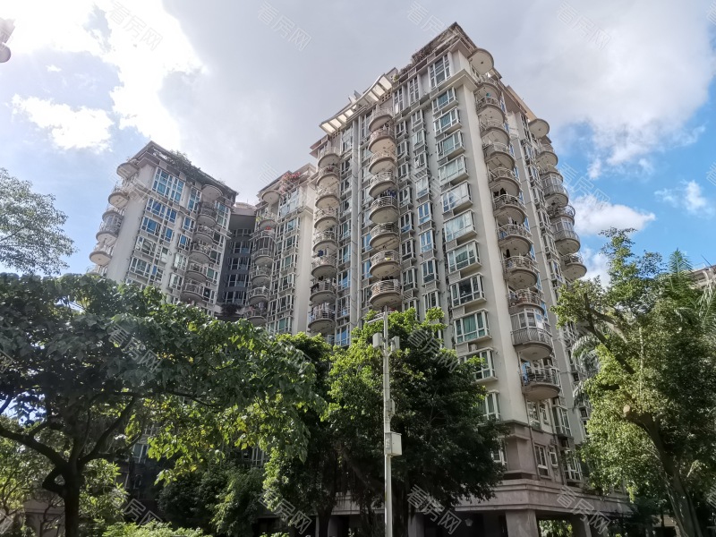 深圳星海名城二期小区信息图片3