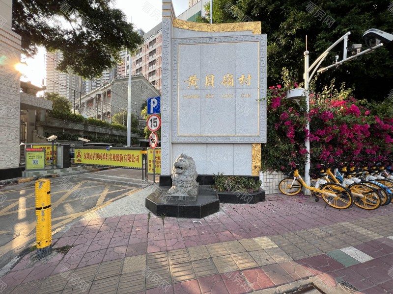 深圳黄贝岭中村小区信息图片4