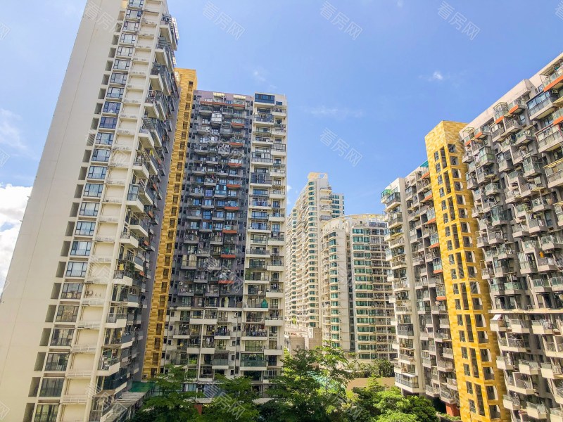 深圳花乡家园小区信息图片5