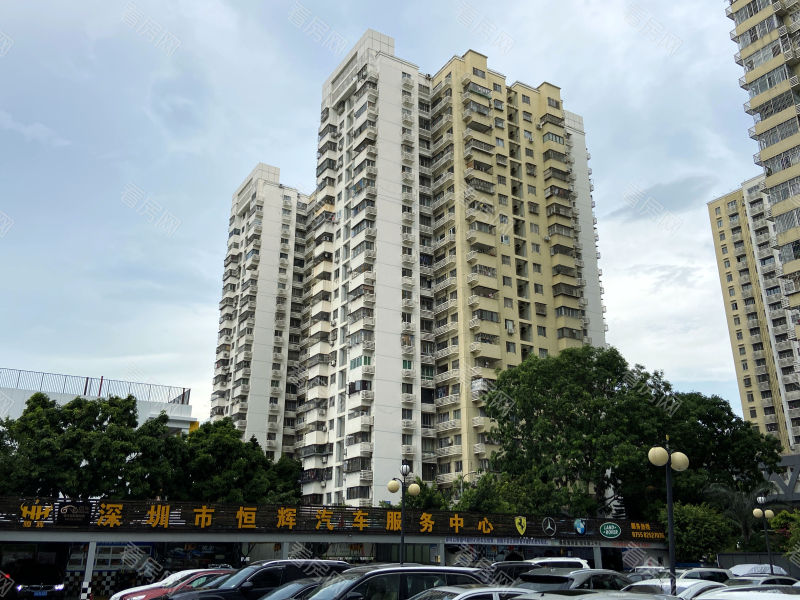 深圳皇洲花园小区信息图片8