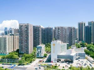 深圳金地上塘道一期小区信息图片