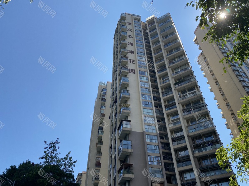 深圳依云伴山小区信息图片3