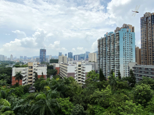 深圳新阁小区小区信息图片