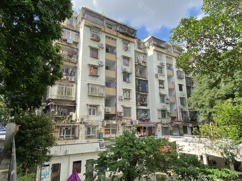 深圳园岭新村小区信息图片12