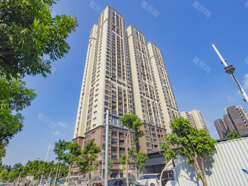 佛山三兴路小区小区信息图片3