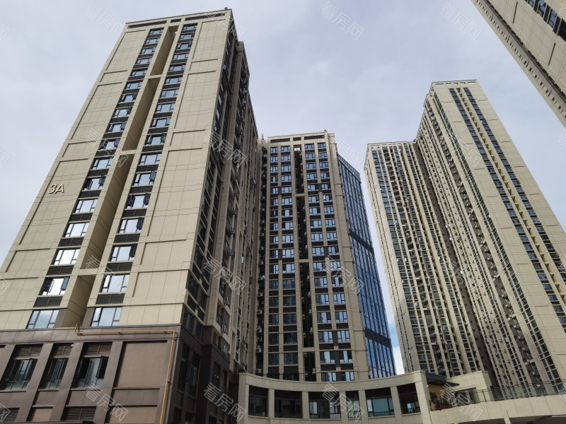 深圳金地龙城中央小区信息图片12