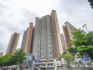 深圳星河荣御一期小区信息图片