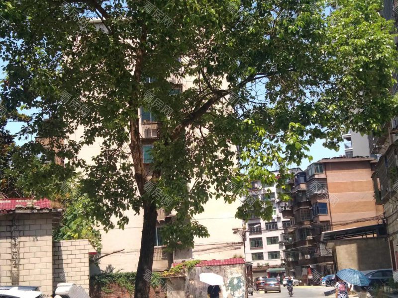 衡阳文家园小区小区信息图片6