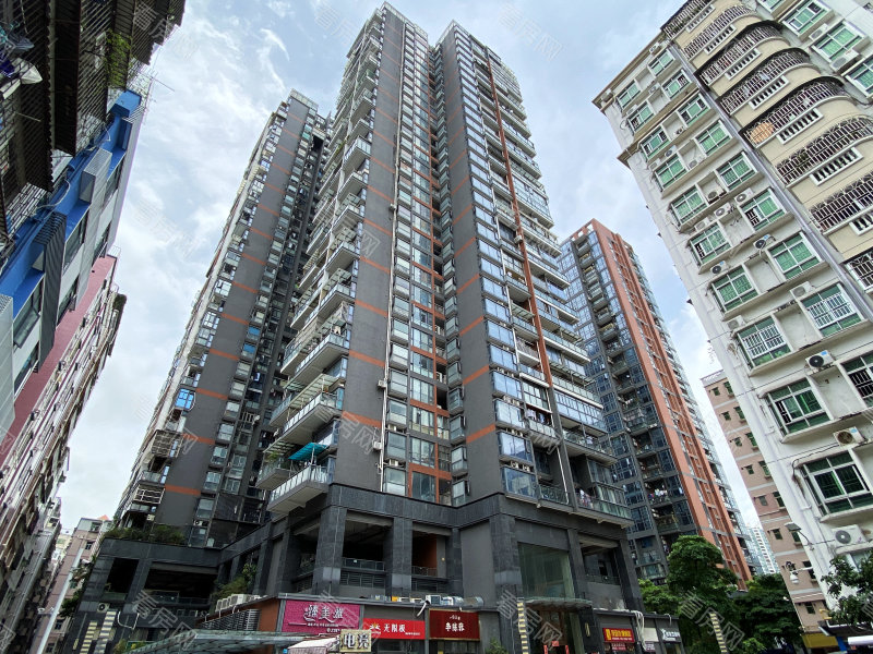 深圳嘉葆润金座小区信息图片3