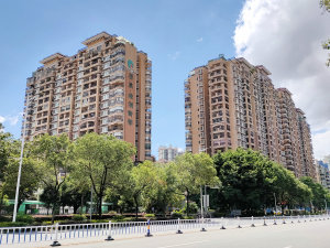 惠州泰豪绿湖新村小区信息图片