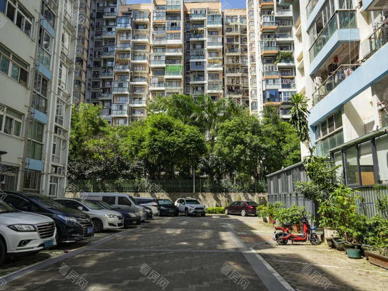 深圳雷圳碧榕湾名苑小区信息图片4