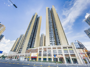 深圳星河传奇一期小区信息图片