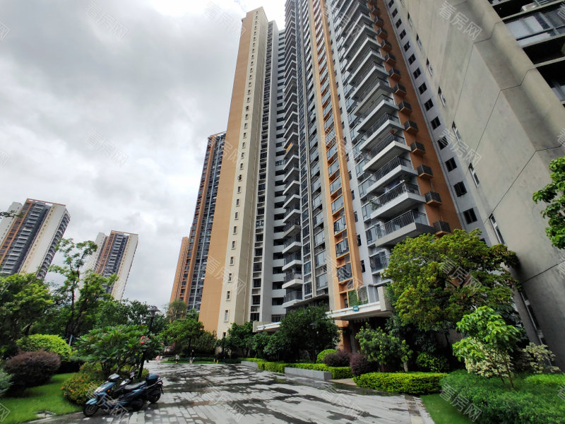 中山雅居乐万象郡二期小区信息图片6