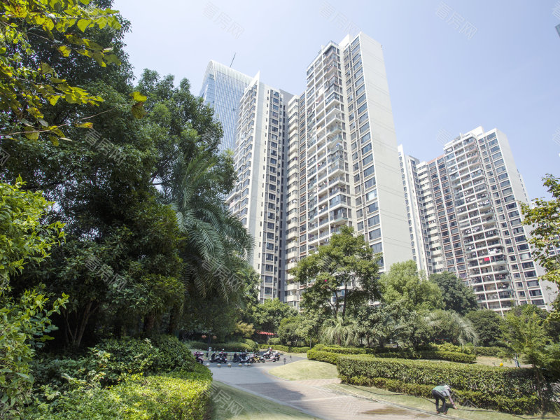 赣州云星中央星城小区信息图片12