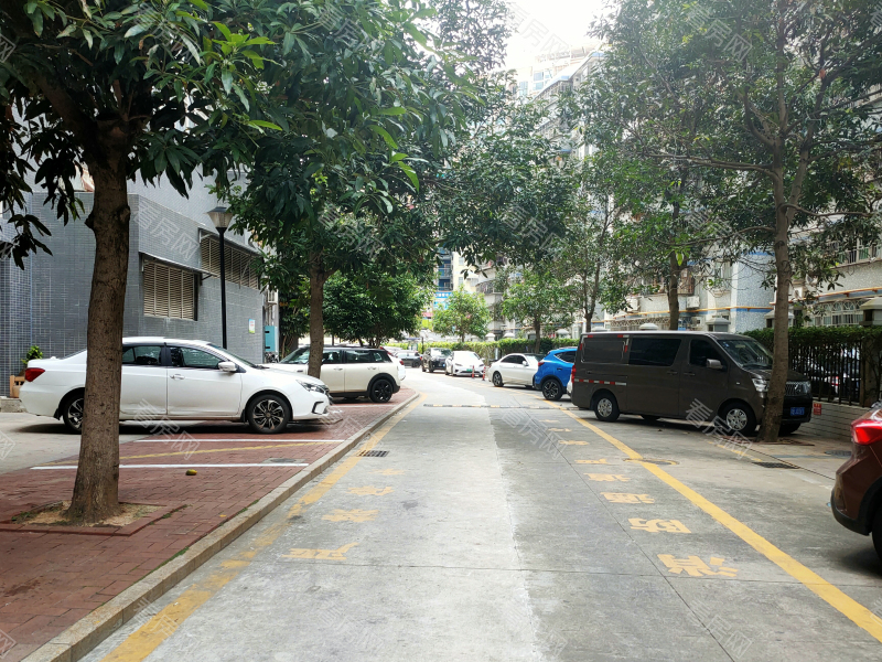 深圳金色年华家园小区信息图片3