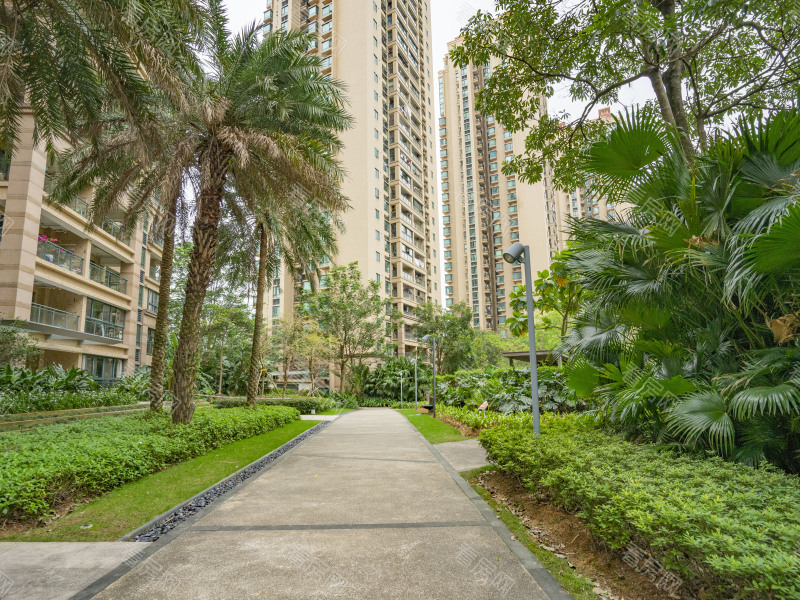 珠海仁恒星园小区信息图片13