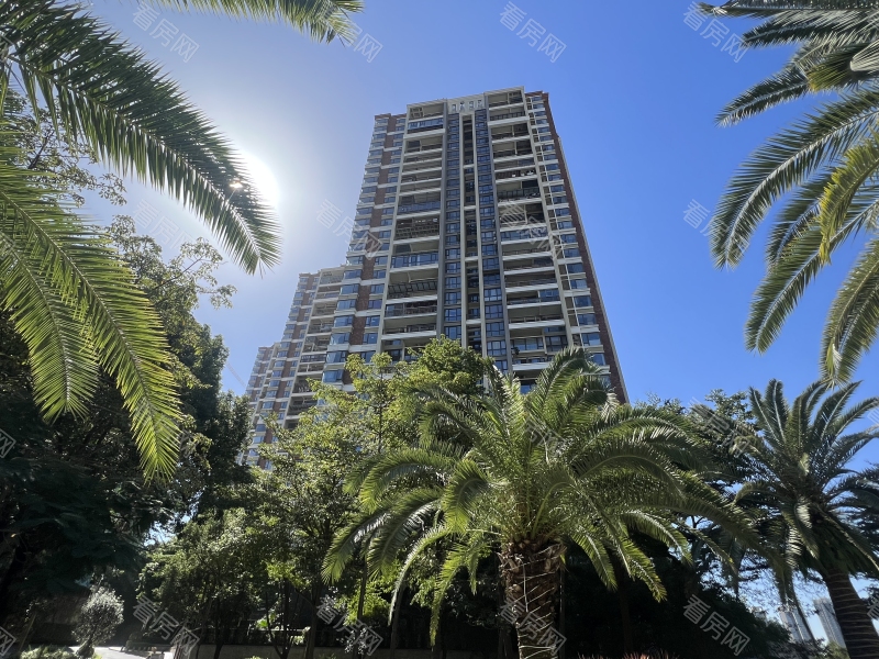 深圳龙岸花园新房楼盘图片图片4