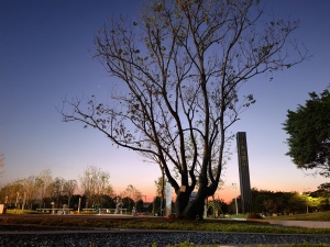 中山锦绣国际花城四期新房楼盘交通图4