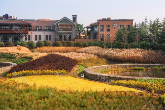 和二房东签的合同有法律效应吗_图片1