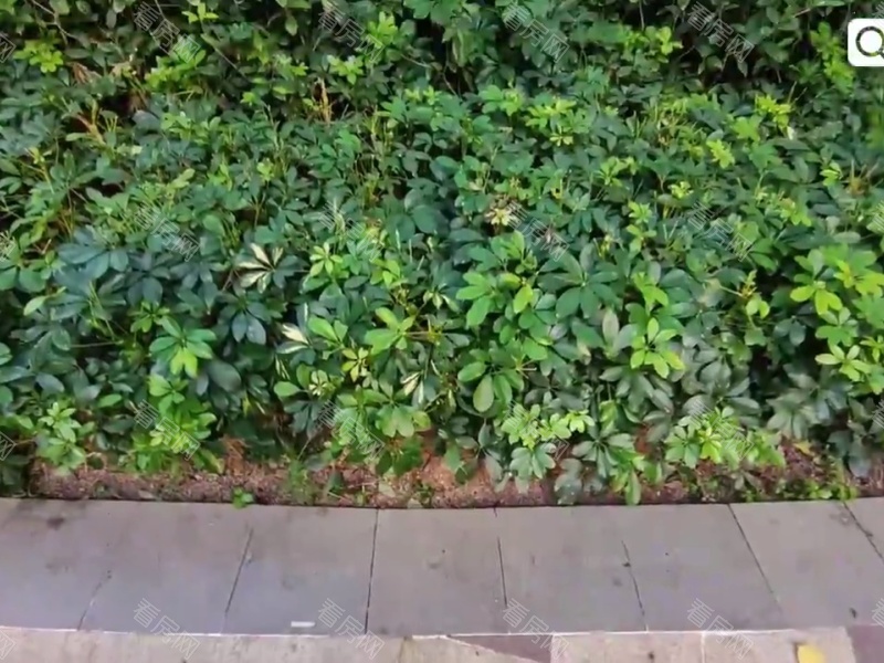 深圳星航华府小区信息图片11