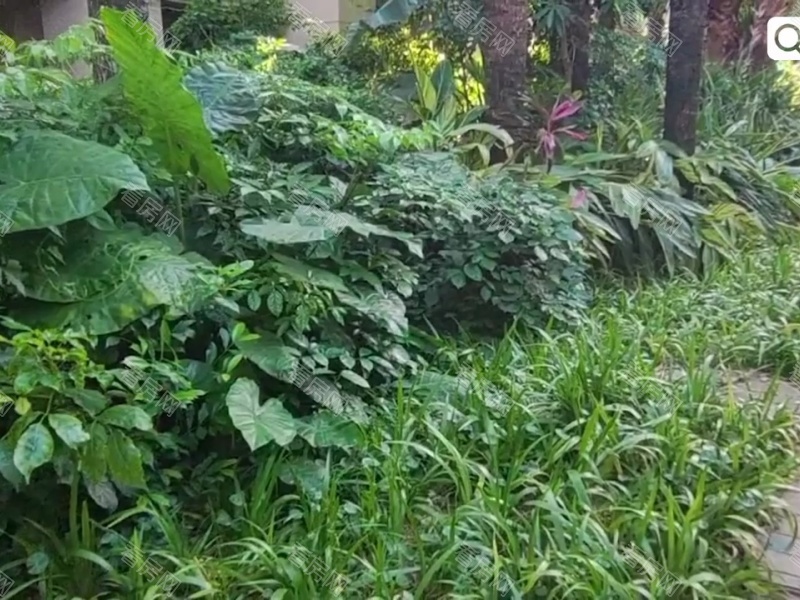 深圳御景水岸一二期小区信息图片18