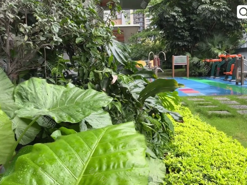 深圳天健时尚空间小区信息图片22