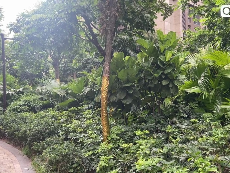 深圳德润荣君府小区信息图片26