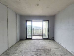 铂悦府 4室2厅 135㎡ 毛坯郴州苏仙区城东二手房图片