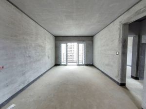 金科城 3室2厅 127㎡ 毛坯郴州苏仙区城东二手房图片