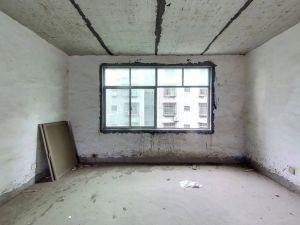 东岭桂园 5室2厅 219㎡ 毛坯郴州苏仙区爱莲湖二手房图片