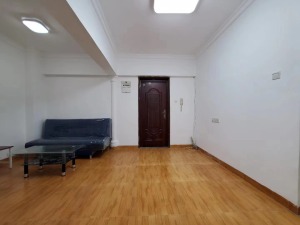 白金假日公寓 2室1厅 43㎡ 整租深圳宝安区西乡租房图片