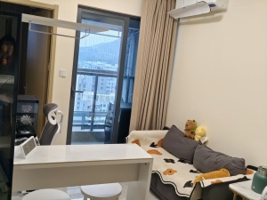 佳兆业御璟佳园广场 南向一居精装平层 区位配套成熟深圳盐田区盐田港租房图片